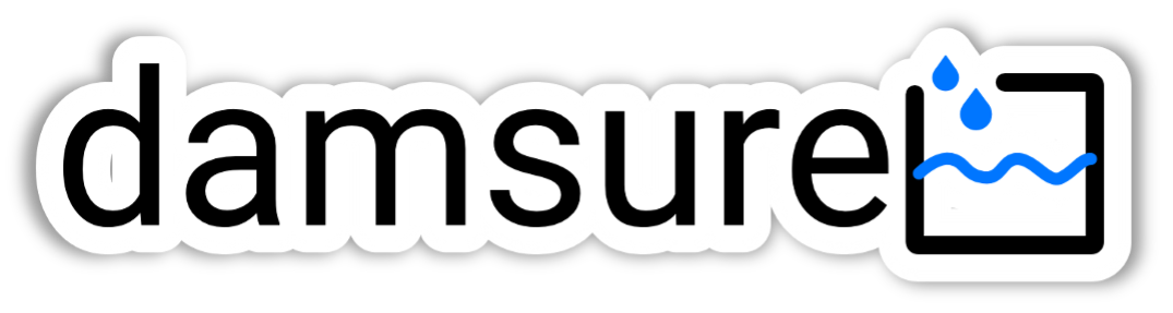 damsure-name-logo